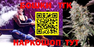 молекула духа Будённовск