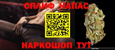 молекула духа Будённовск