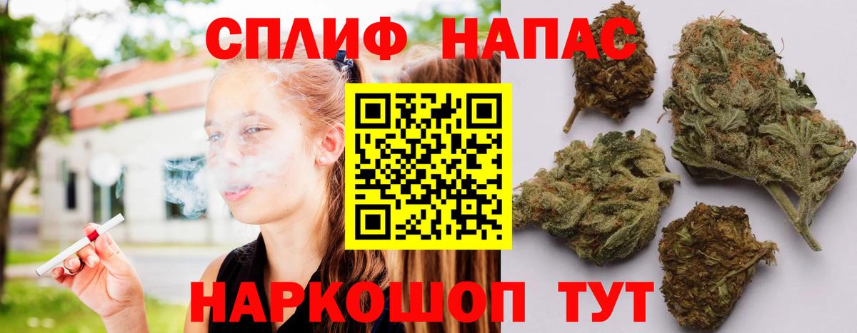 Бошки Шишки сатива  Вход с VPN  Краснодар  Конопля сатива  Бошки марихуана Ganja 